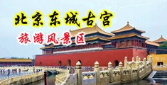 内射穴穴中国北京-东城古宫旅游风景区